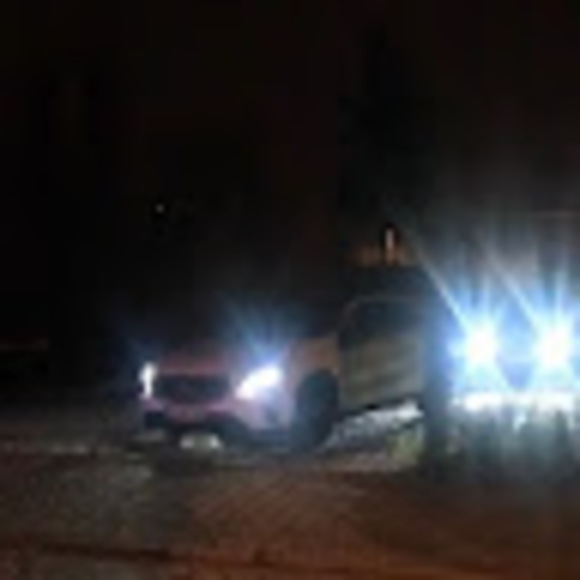 Meet your Posher, Donte - Picture 1 of 1